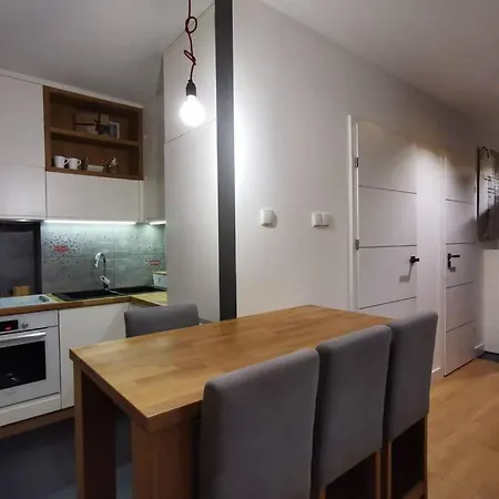 Przytulne Nowoczesne Z Tarasem Nad Dunajcem Apartment