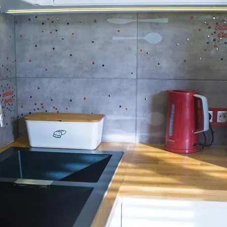 Przytulne Nowoczesne Z Tarasem Nad Dunajcem * Nowy Targ