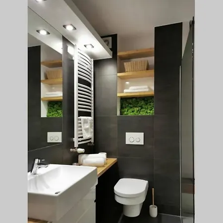 Apartment Przytulne Nowoczesne Z Tarasem Nad Dunajcem